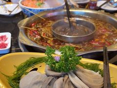 -一斗火锅·招财羊毛肚(北温泉九号店)