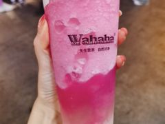 -娃哈哈·奶茶(武林店)
