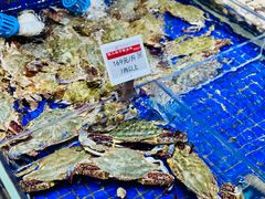 -高佳庄·舟山海鲜(海景旗舰店)