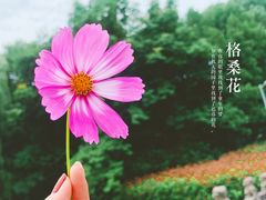 -绍兴鉴湖君澜大酒店