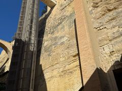 -上巴拉卡花园和下巴拉卡花园