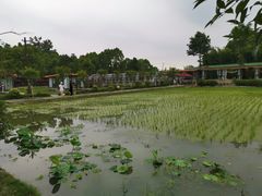 -洪湖家庭农场·团建·露营·会议