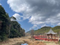 -广州市石门国家森林公园