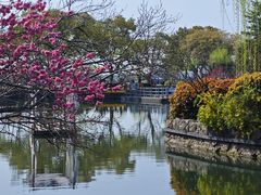 -无锡蠡湖国家湿地公园-蠡园