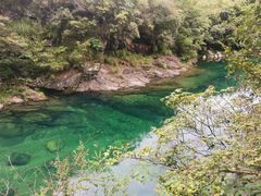 -石台牯牛降景区