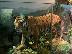 -陕西自然博物馆