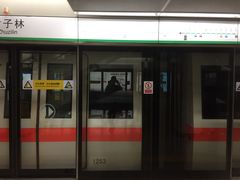 -竹子林(地铁站)