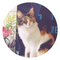 -尚美日式美甲美睫工作室