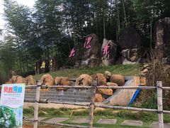 -千泷沟大瀑布旅游区