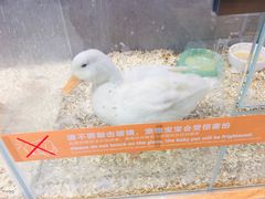 -狗道宠物(常熟印象城店)