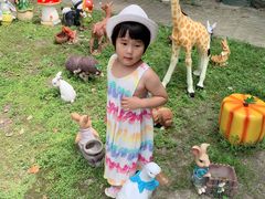 -上海佘山世茂艾美酒店