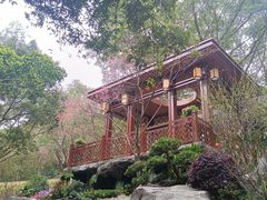 -广州市白云山风景名胜区