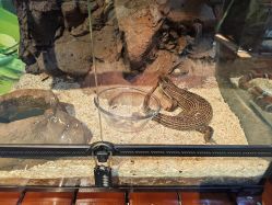 -酷嗒动物文化乐园(cutezoo西溪乐天城店)