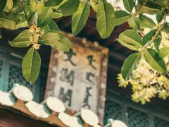 -浙江省博物馆(孤山馆区)