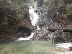 -九龙江国家森林公园