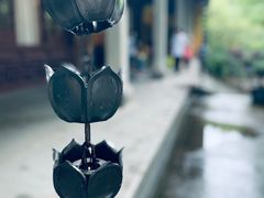 -灵隐飞来峰景区