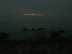 -野狸岛