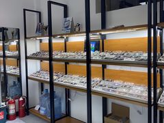 -五派眼镜(沙河店)