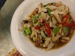 -龙翔山庄雷鸡肉(青城后山泰安古镇店)