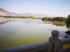 -飞来湖湿地公园