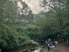 -重庆彩云湖湿地公园