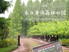 -黄海国家森林公园