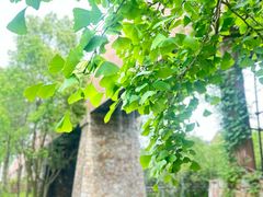 -黄陂区野村谷景区