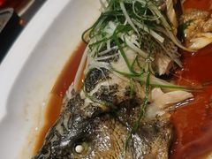 -新乾隆酒楼(帝景园店)