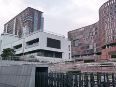 -中国宋庆龄青少年科技文化交流中心
