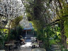 -The Grounds of Alexandria