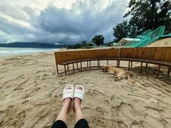 -西涌国际滨海旅游区