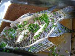 蒸山坑罗非鱼-邹记·美食(斗门店)