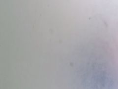 -三亚亚龙湾雅高铂尔曼别墅度假酒店