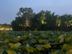 -济南大明湖景区