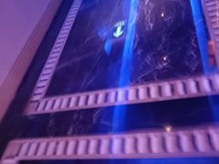 -温莎KTV(珠江路店)