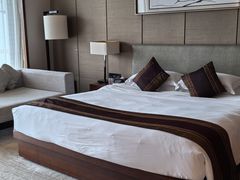 -河源万绿湖美思威尔顿酒店