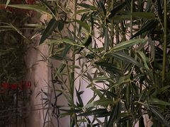 -乾园(天河城店)