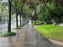 -唐城墙遗址公园