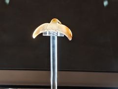 -平顶山博物馆