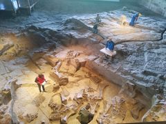 -自贡恐龙博物馆