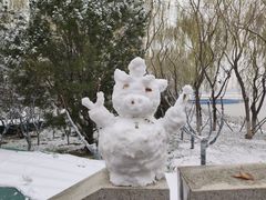 -大兴滨河森林公园