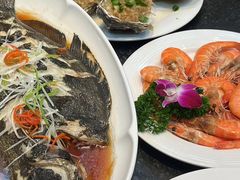 -前海沿·青岛菜(大拇指广场石老人店)