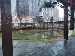 -花果园湿地公园
