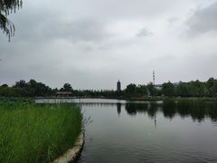 -西海子公园