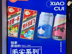 -包整·丝娃娃(一览甲秀楼风景店)