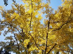 -苏州河梦清园环保主题公园