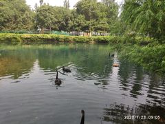 -长白岛森林公园