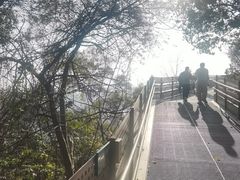 -福道