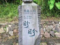 -都江堰中华大熊猫苑