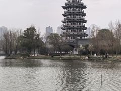 -洋湖国家湿地公园